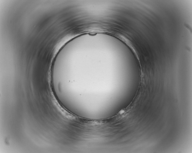 X0000099561195200805301535