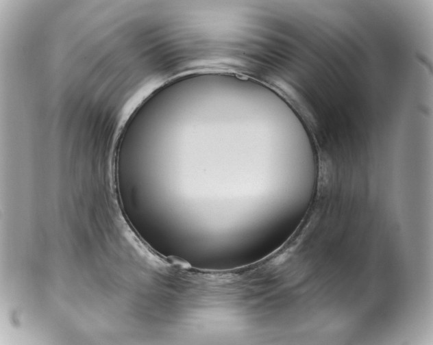 X0000099561196200805301535