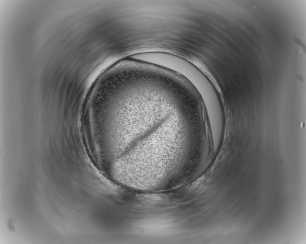 X0000099561197200805301535