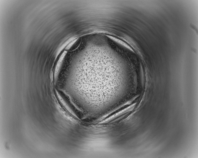 X0000099561198200805301535