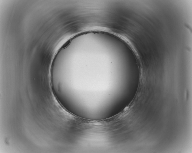 X0000099561199200805301535