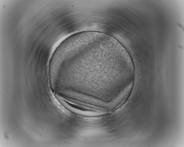 X0000099561200200805301535