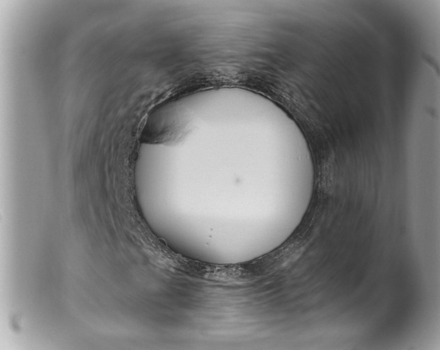 X0000099561201200805301534