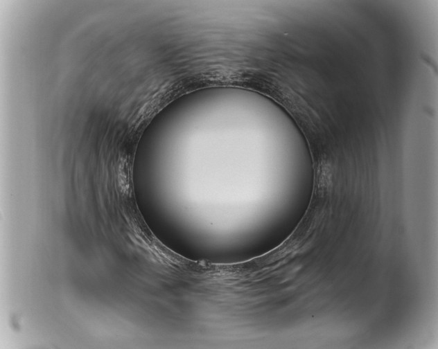 X0000099561202200805301534