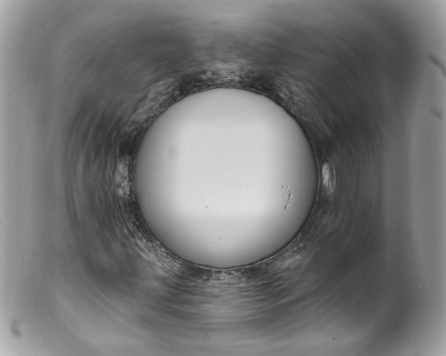 X0000099561203200805301534