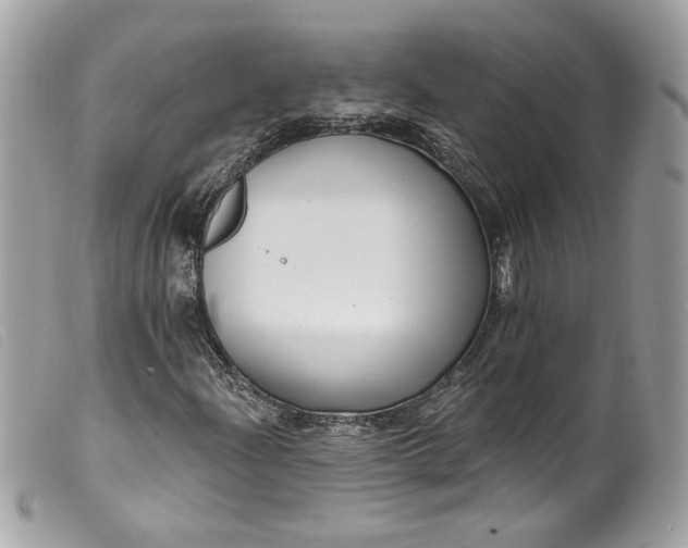 X0000099561204200805301534