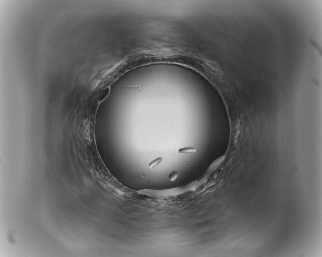 X0000099561205200805301534