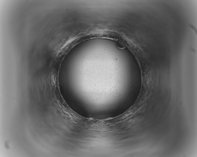 X0000099561206200805301534