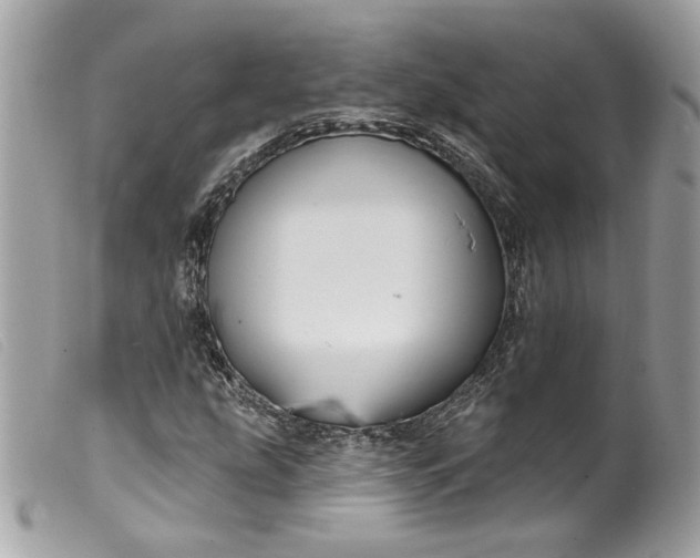 X0000099561207200805301534