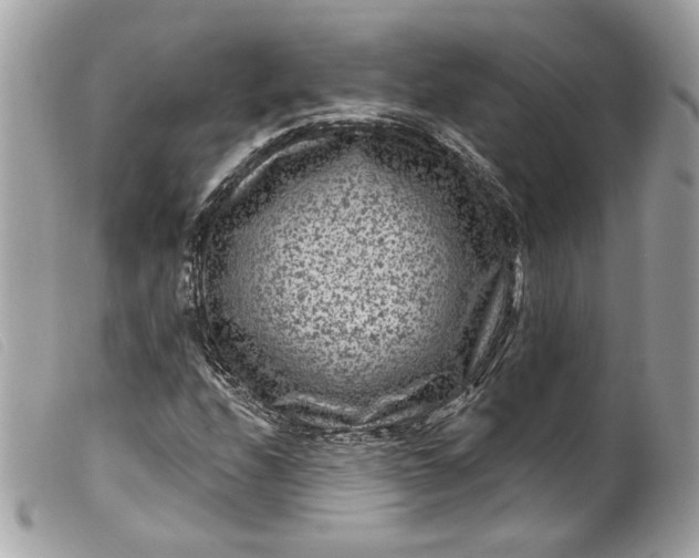 X0000099561208200805301534