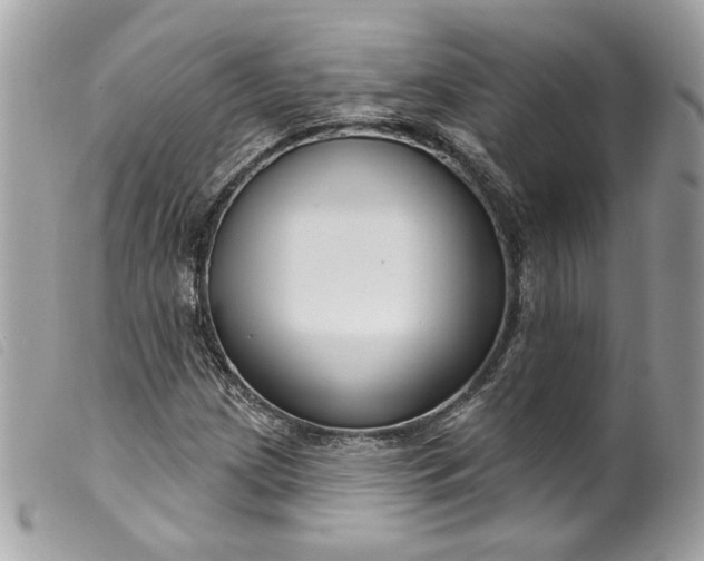 X0000099561209200805301534