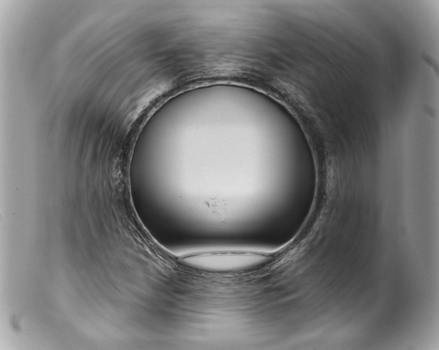 X0000099561210200805301534