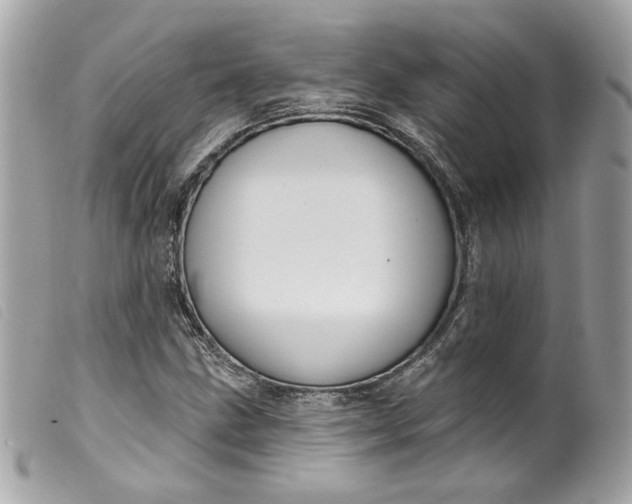 X0000099561211200805301534