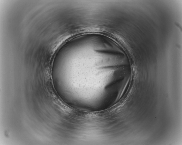 X0000099561212200805301534