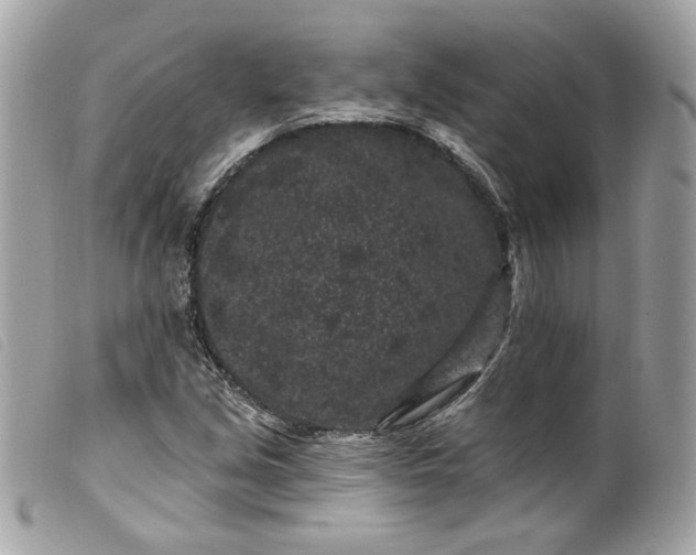 X0000099561213200805301534