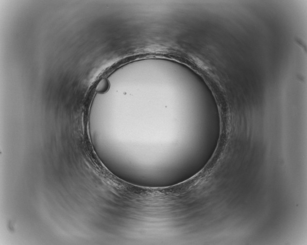 X0000099561214200805301534