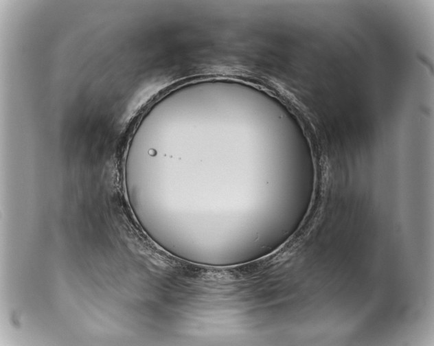 X0000099561215200805301534