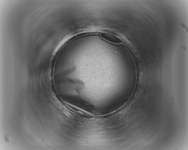 X0000099561216200805301534