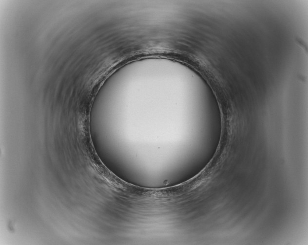 X0000099561217200805301534