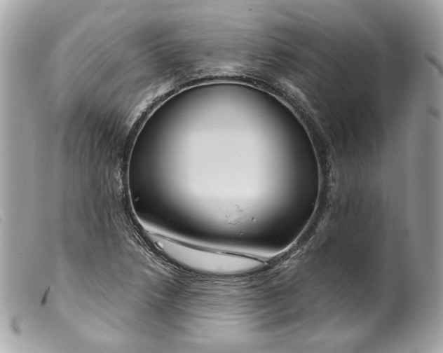 X0000099561218200805301534