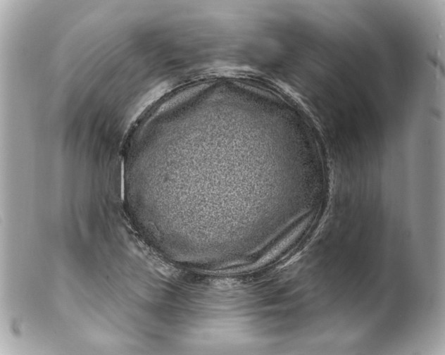 X0000099561219200805301535