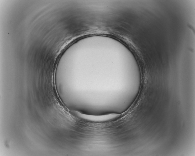 X0000099561220200805301535