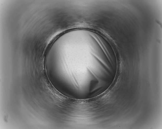 X0000099561222200805301535