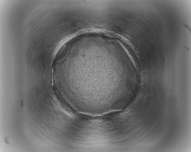 X0000099561223200805301535