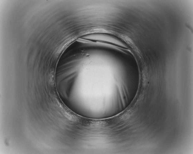 X0000099561225200805301535