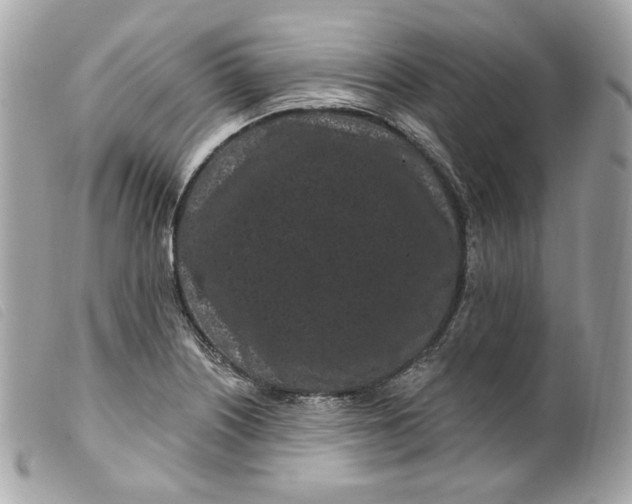 X0000099561226200805301535