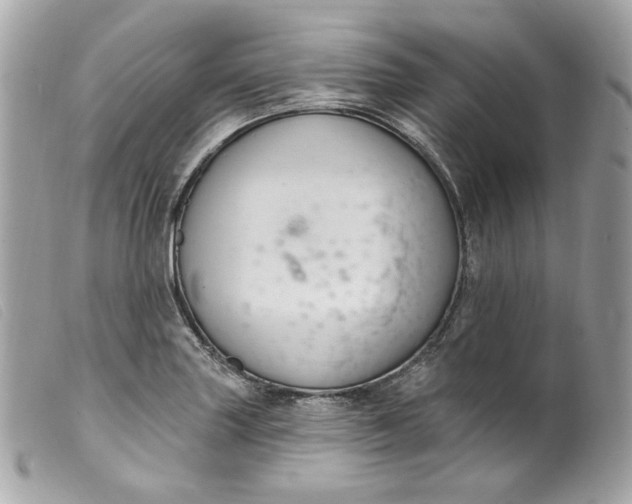 X0000099561227200805301535