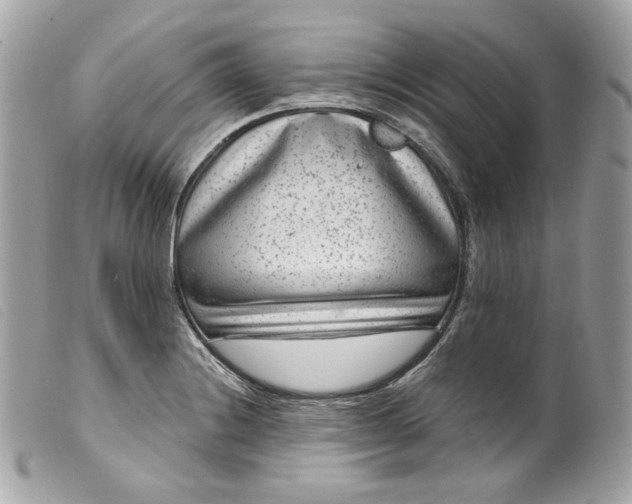 X0000099561228200805301535