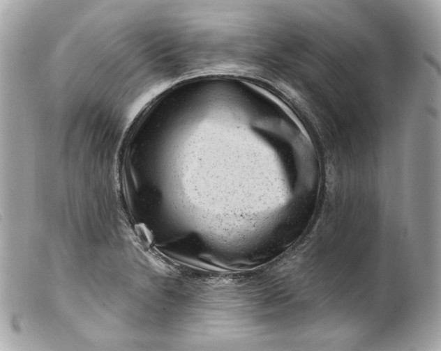 X0000099561230200805301535