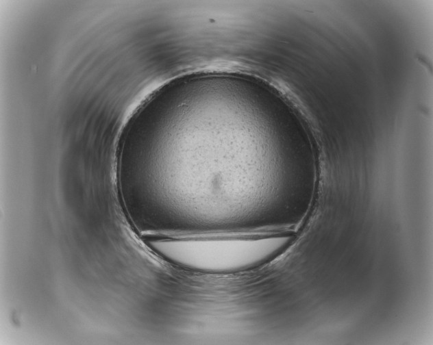 X0000099561232200805301535