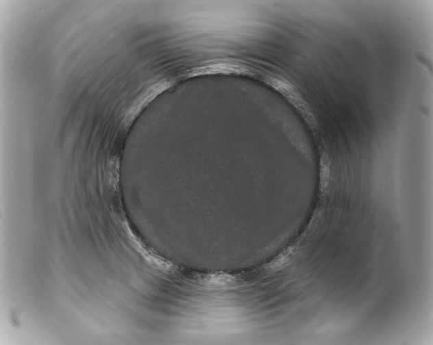 X0000099561233200805301535