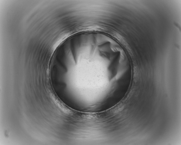 X0000099561234200805301535