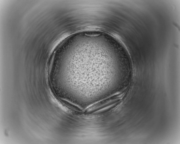 X0000099561235200805301535