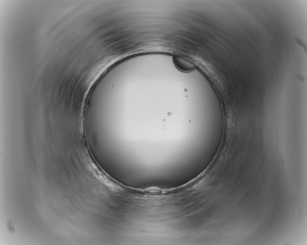 X0000099561236200805301535