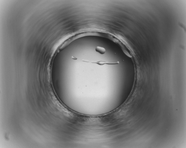 X0000099561238200805301535