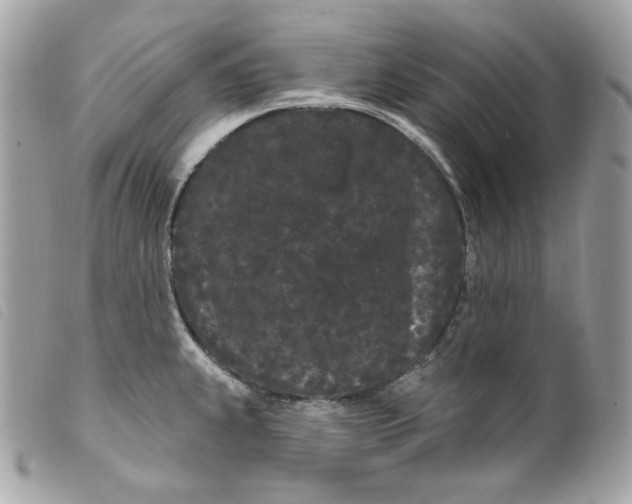 X0000099561239200805301535