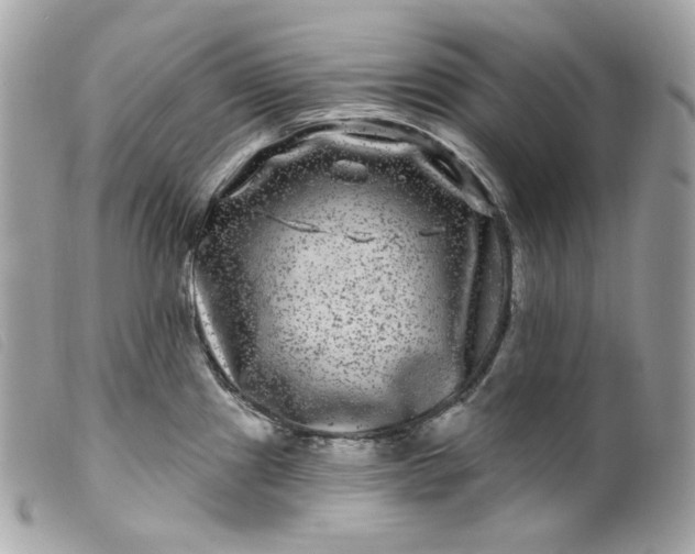 X0000099561241200805301535