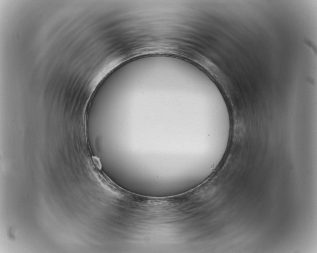 X0000099561242200805301535