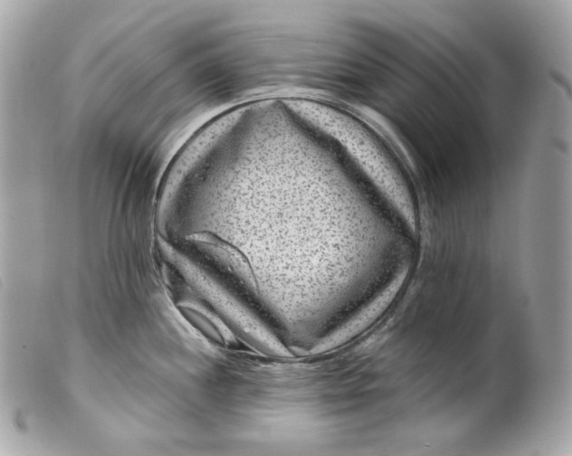 X0000099561244200805301535