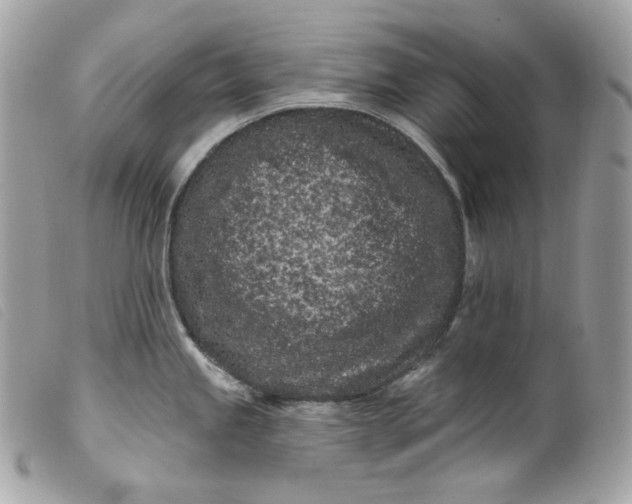 X0000099561245200805301535