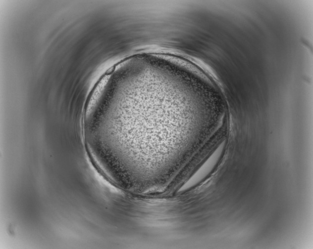 X0000099561247200805301535