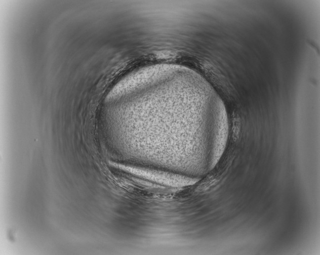 X0000099561249200805301534