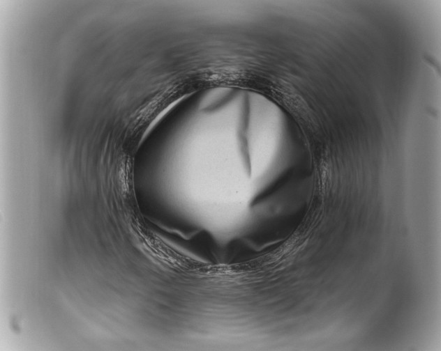 X0000099561250200805301534