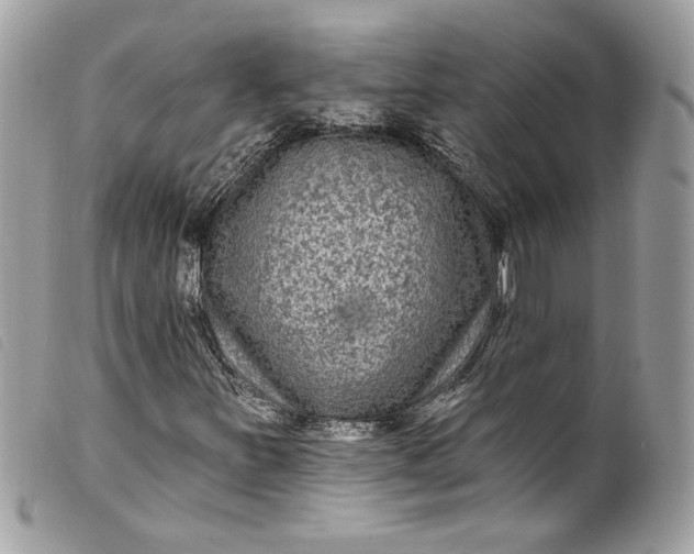 X0000099561251200805301534