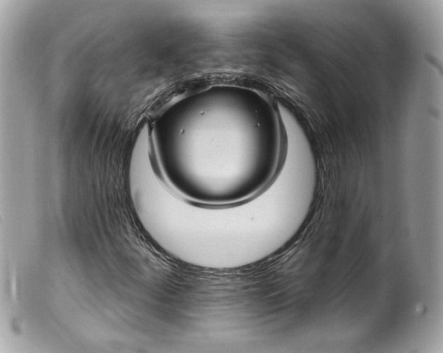 X0000099561252200805301534