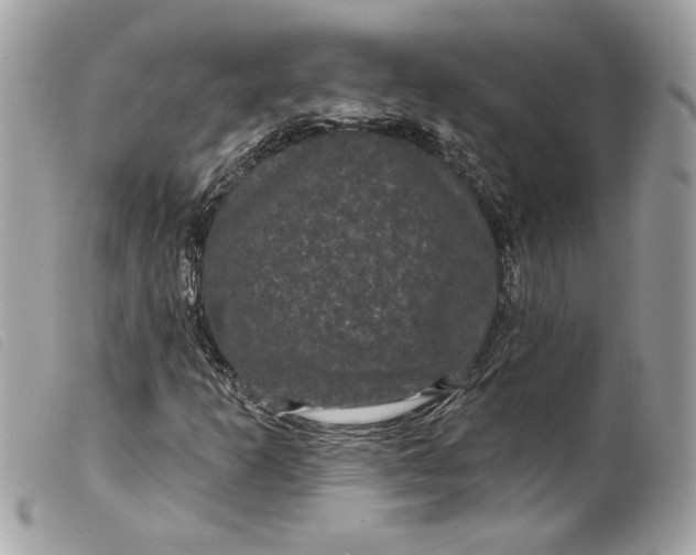 X0000099561253200805301534